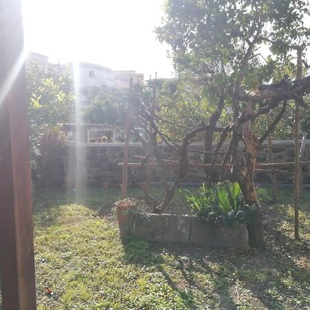 Dimora Coloniale B&B Forio  Bagian luar foto