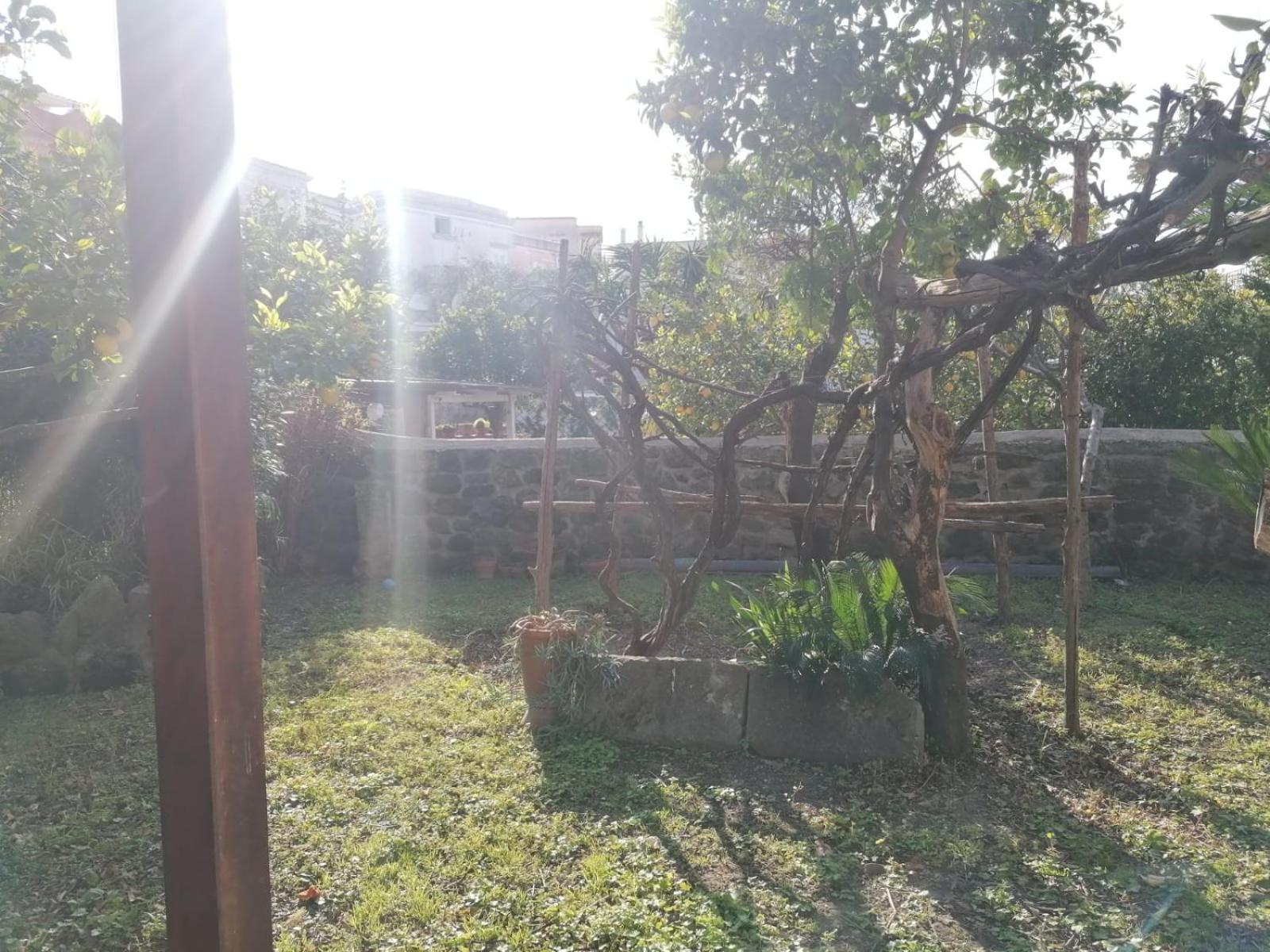 Dimora Coloniale B&B Forio  Bagian luar foto