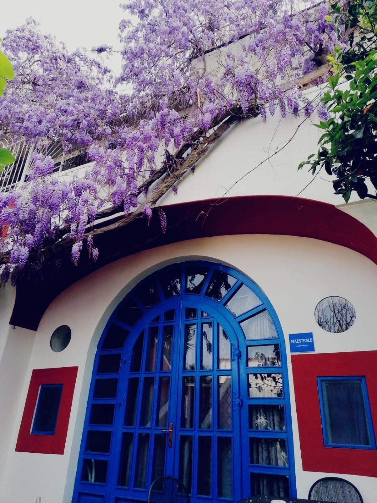 Dimora Coloniale B&B Forio  Bagian luar foto
